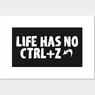 LIFE HAS NO CTRL+Z Posters and Art